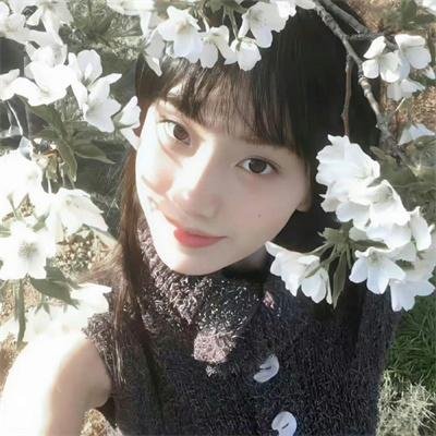 复仇记海报