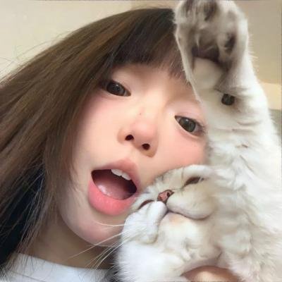 向风而行海报