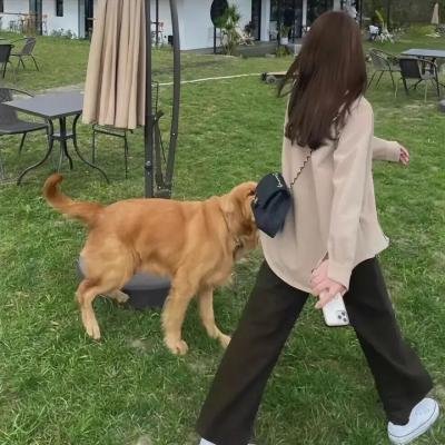 美国犯罪故事第三季海报